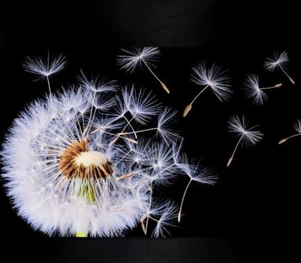 Emozionale - Massaggi Rilassanti